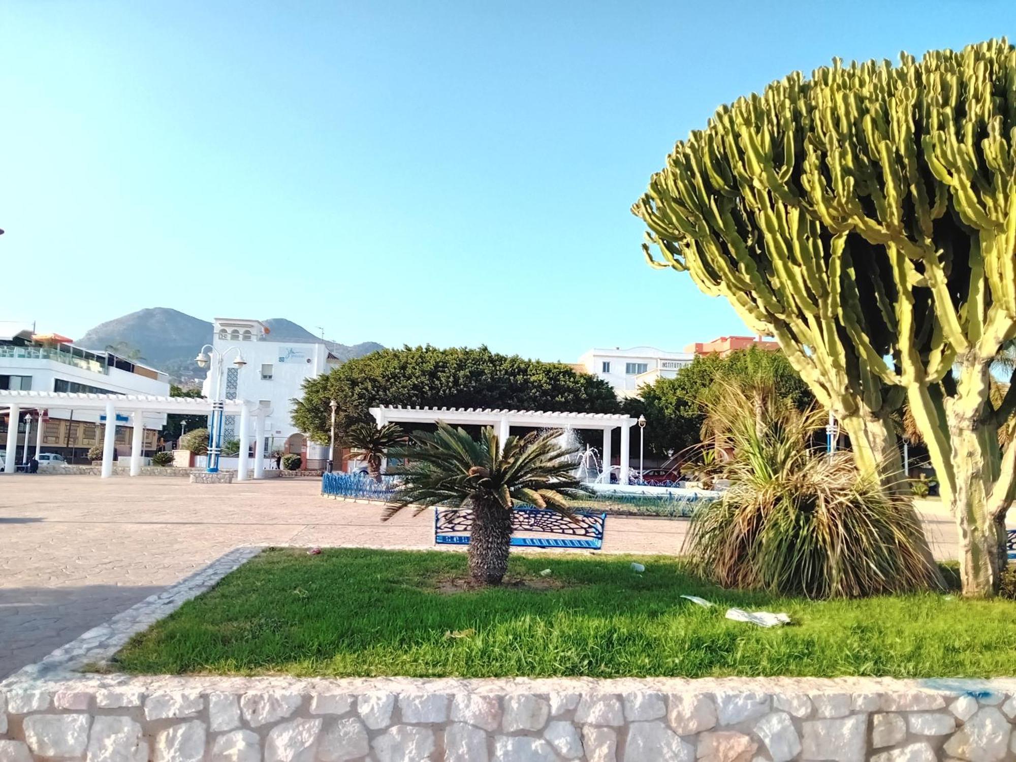 Apartment El Olivo
